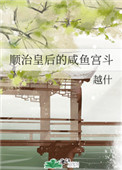顺治后妃小说